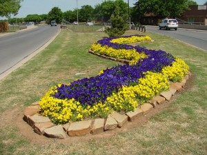 Cedar Elm Flowerbed - Pansies