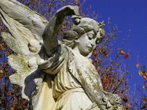 Riverside Angel.gif