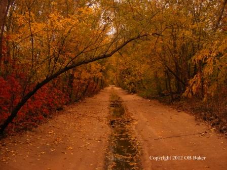 OB Baker Photos 11-2011 (4)CR Web.jpg