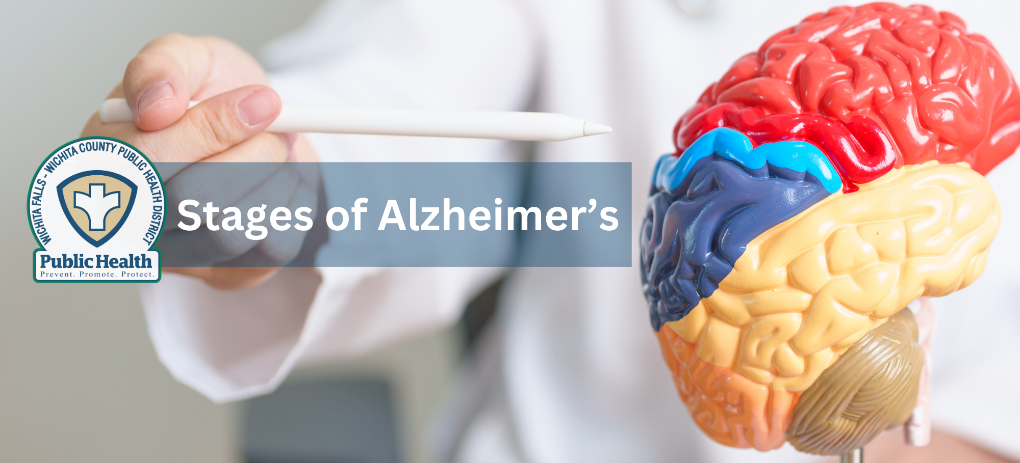 Stages of Alzheimers 1