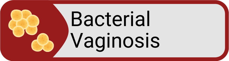 Button Bacterial Vaginosis