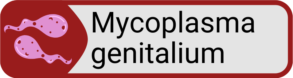 Button Mycloplasma genitalium