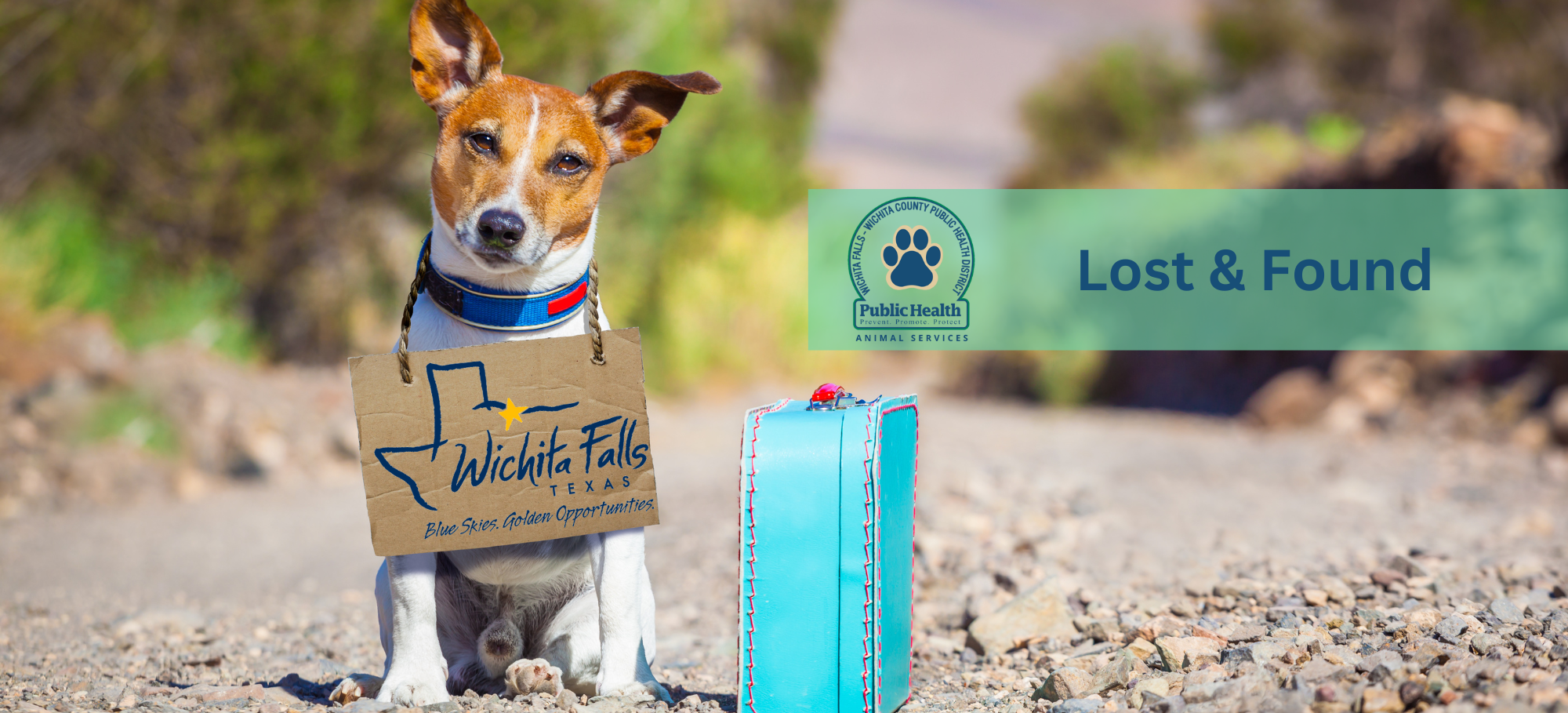 Lost and Found Banner