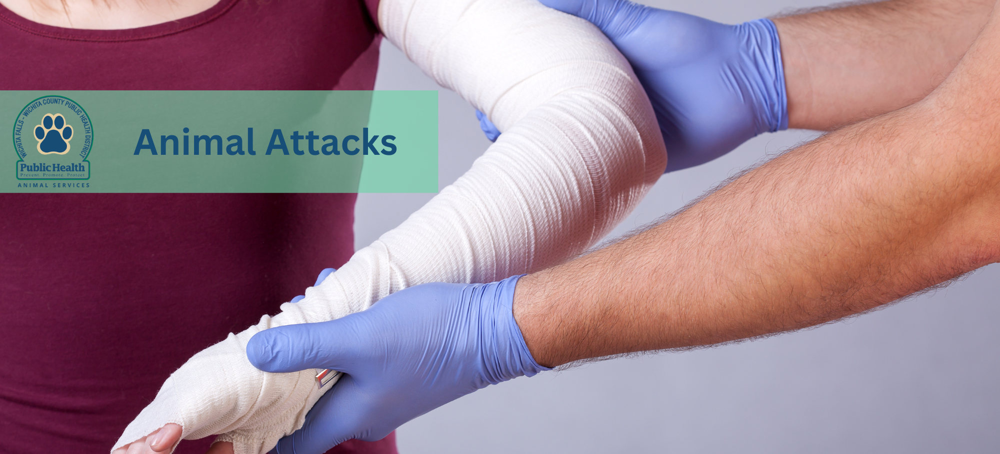 Animal Attacks Banner