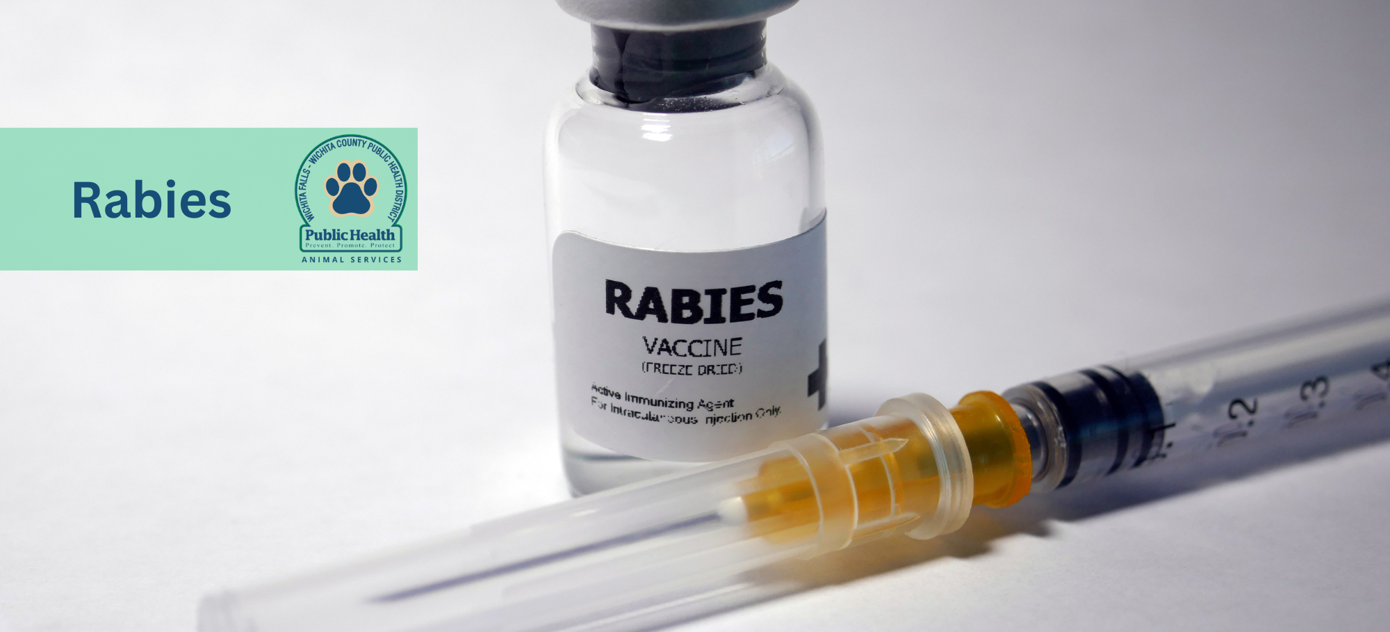 Animal Services subpage  Rabies