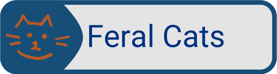 Animal Services Button_Feral Cats
